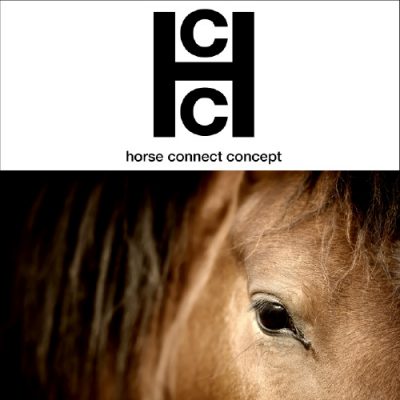 HORSE CONNECT CONCEPT